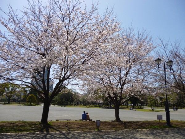 はなさんぽ通信「日本気象協会桜開花情報と日本五大桜」
