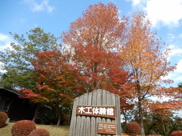 静岡県立森林公園の紅葉始まる（浜松市）